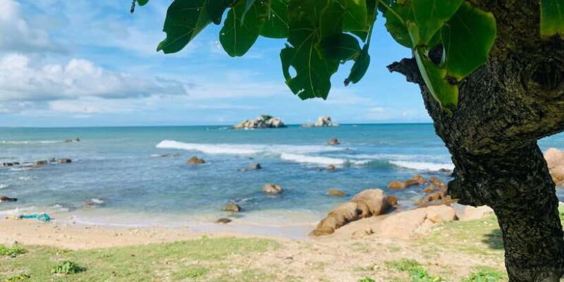 Snorkeling in Trincomalee - The Experience: What to Expect