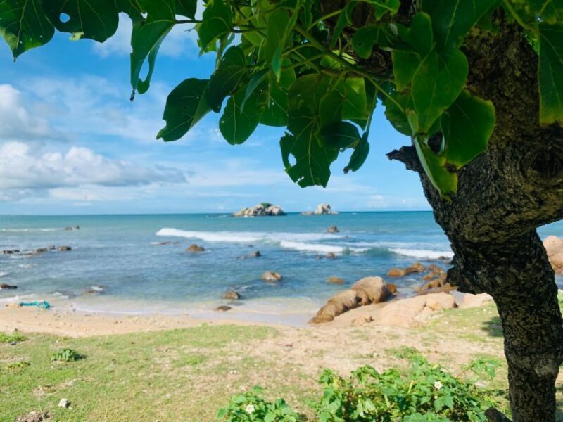 Snorkeling in Trincomalee - Who Should Consider This Tour?
