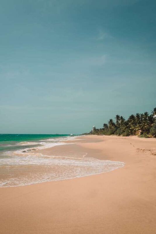 Snorkeling in Unawatuna - Final Thoughts