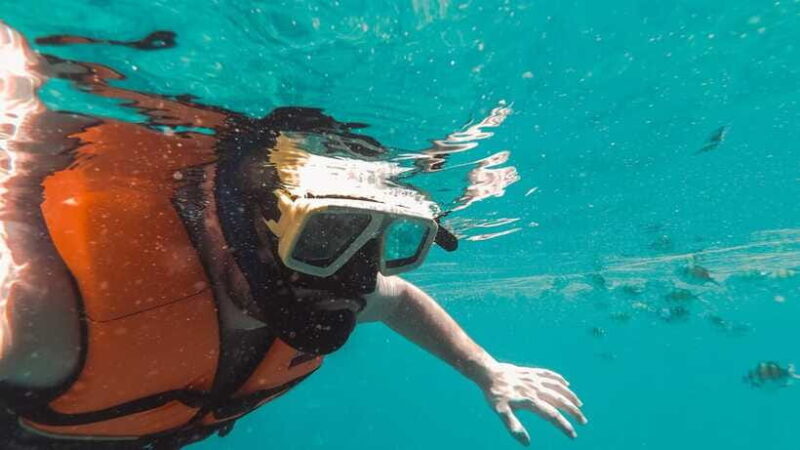 Snorkeling in Unawatuna - Who Should Consider This Tour?