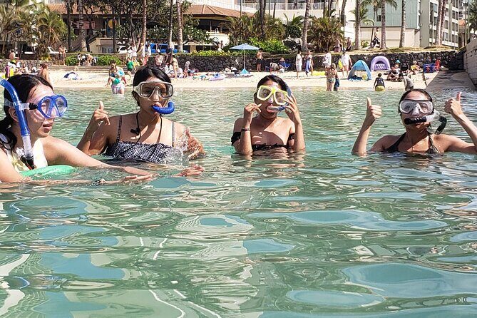 Snorkeling in Waikiki Many Fish All Levels Free Video & Pics! - Practical Details & Tips