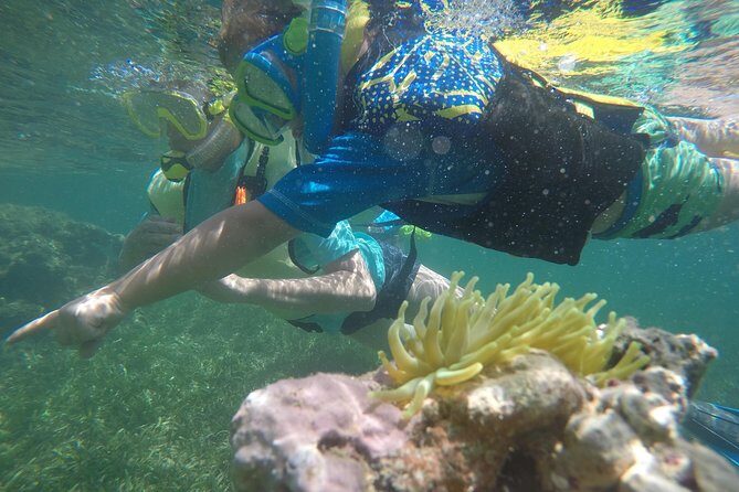 Snorkeling & Kayak Eco-Adventure in Puerto Rico - An In-Depth Look at the Tour