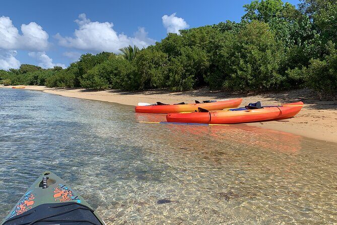 Snorkeling & Kayak Eco-Adventure in Puerto Rico - FAQ
