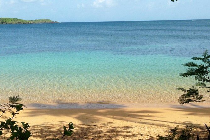 Snorkeling Lesson & Interactive Experience for Kids and Adults - Key Points