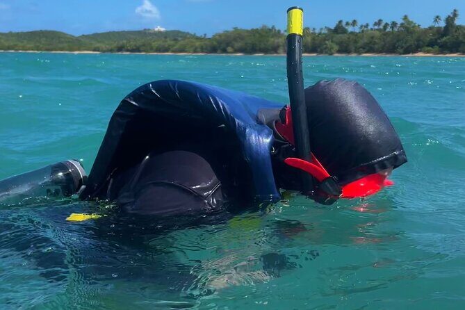 Snorkeling Lesson & Interactive Experience for Kids and Adults - What Makes This Snorkeling Lesson Special?