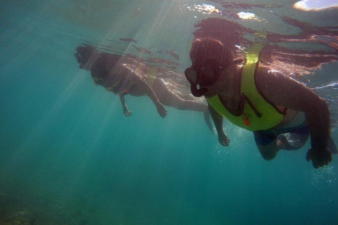 Snorkeling Lesson & Interactive Experience for Kids and Adults - Price and Value Analysis