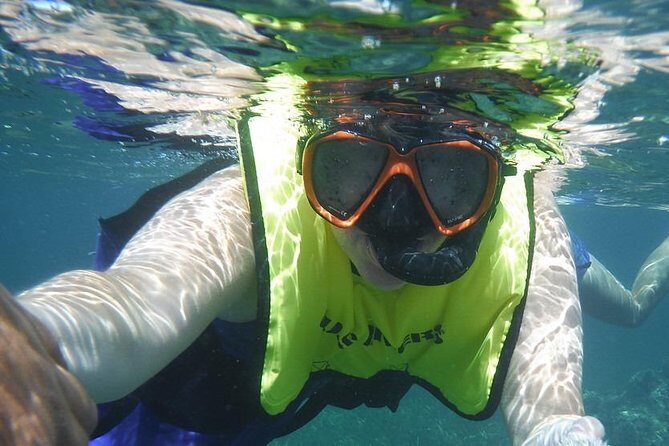 Snorkeling Lesson & Interactive Experience for Kids and Adults - Authentic Experiences from Reviews