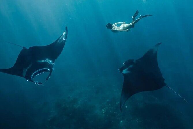Snorkeling Manta Rays and Land Tour Nusa Penida All-Included - Exploring the Snorkeling Manta Rays and Land Tour Nusa Penida All-Inclusive