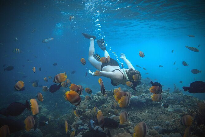 Snorkeling Manta Rays and Land Tour Nusa Penida All-Included - Who Will Love This Tour?