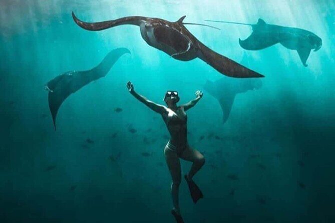 Snorkeling Nusa Penida and Island Tour Package - Final Thoughts
