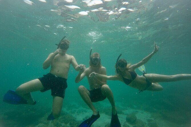 Snorkeling On Beautiful Rock Island - Unawatuna by Boat - Introduction: A Snorkeling Tour That Promises Colorful Marine Encounters