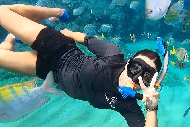 Snorkeling On Chilean Beach Transportation And Drinks Included - What this tour offers and why it matters