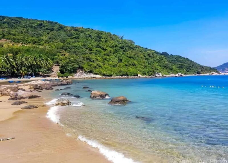 Snorkeling Or Scuba Diving In Cham Islands - A Closer Look at the Cham Islands Snorkeling and Diving Tour