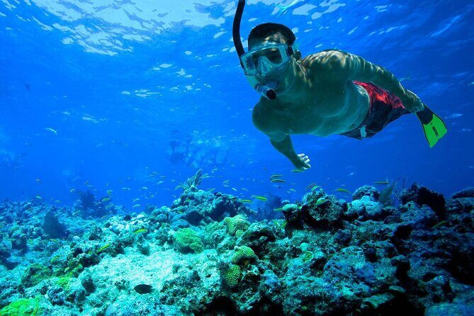 Snorkeling: Ras Mohamed & White Island With Lunch And Drinks - The Itinerary: What Makes It Special