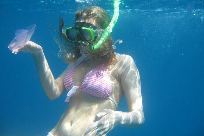 Snorkeling: Ras Mohamed & White Island With Lunch And Drinks - What’s the Experience Like?