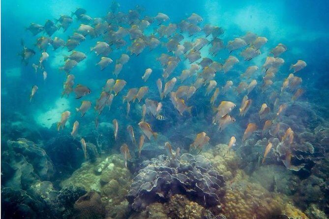 Snorkeling ( start at Ko Kut) - Who Should Consider This Tour?
