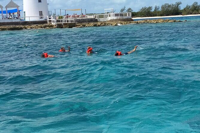 Snorkeling, Swim with Turtles & Beach Day - The Sum Up