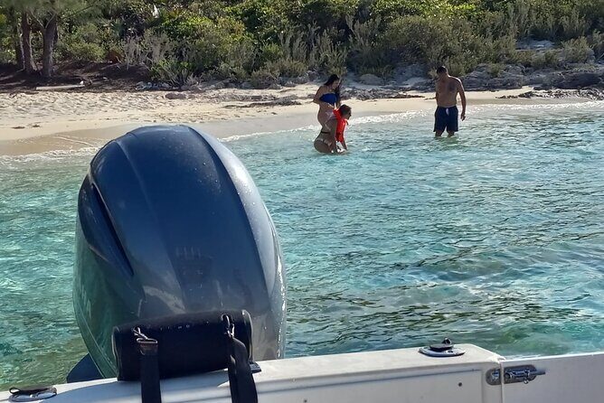 Snorkeling, Swim with Turtles & Beach Day - FAQ