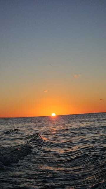 Snorkeling Tour in COZUMEL - What Travelers Are Saying