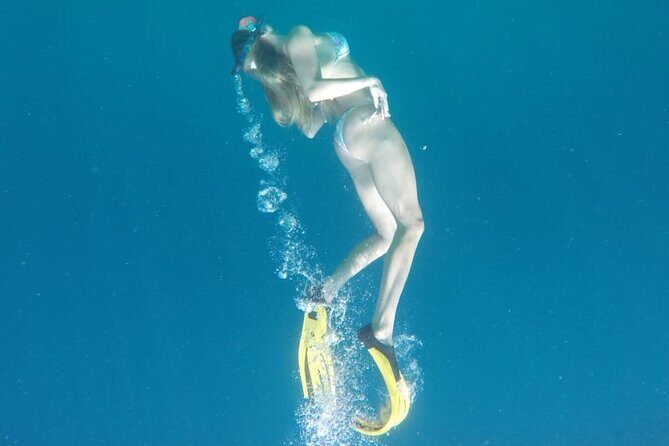 Snorkeling Tour In Gili Islands Pick Up From Bali - Key Points