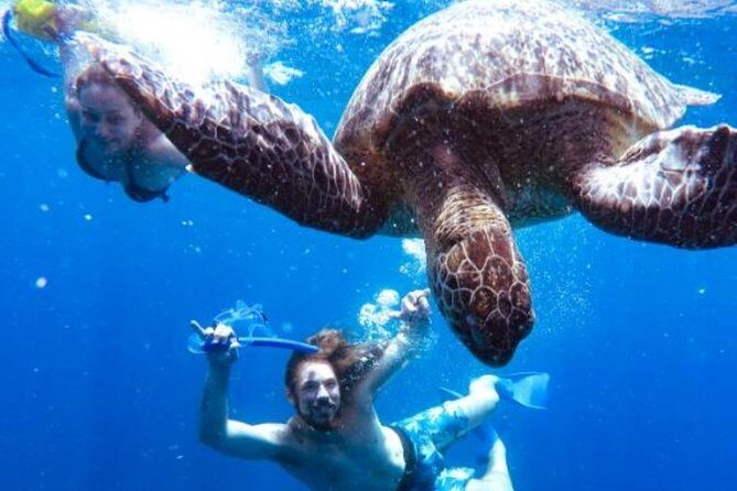 Snorkeling Tour In Gili Trawangan, Gili Meno And Gili Air Pick Up From Bali - Introduction: A Snorkeling Day in Paradise (with a Catch)