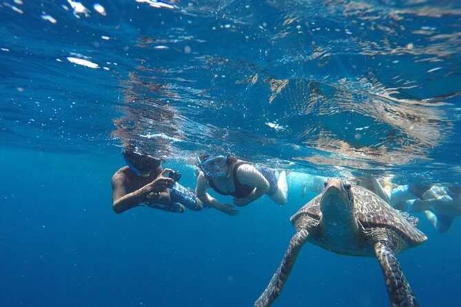 Snorkeling Tour In Gili Trawangan, Gili Meno And Gili Air Pick Up From Bali - FAQ
