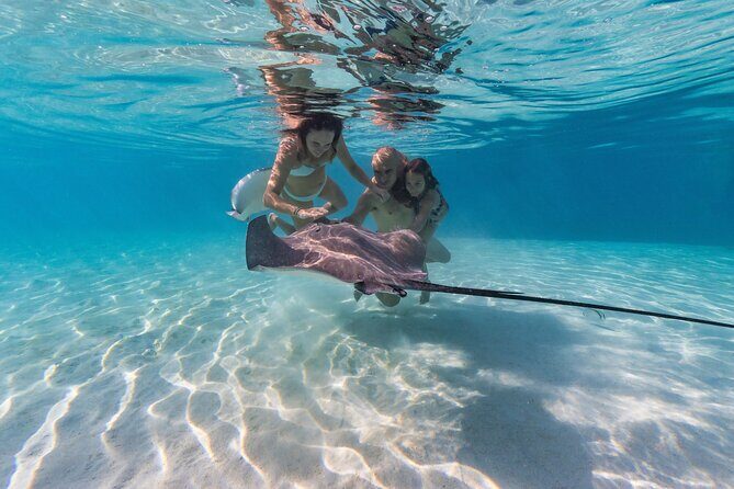Snorkeling Tour in Moorea Aquatic Adventure Half Day - Key Points