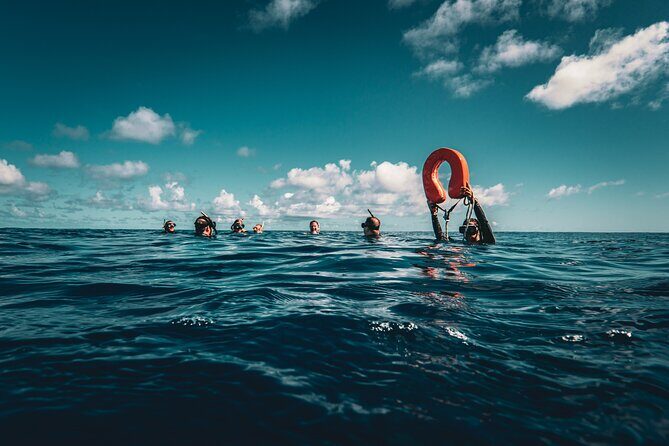 Snorkeling Tour in Moorea Aquatic Adventure Half Day - An Introduction to Moorea’s Underwater Realm