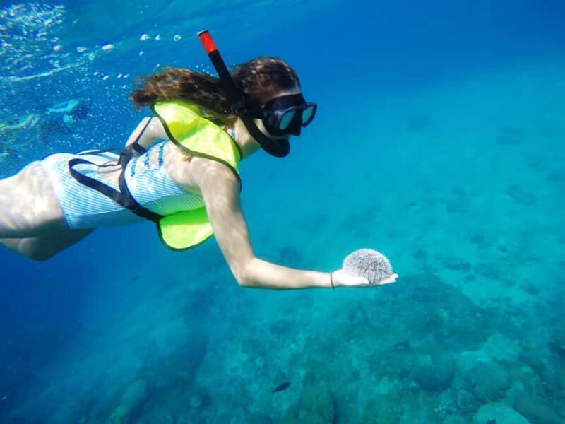 Snorkeling Tour & Sosua Beach Day - An Introduction to the Sosua Snorkeling Experience