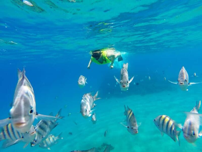 Snorkeling Tour & Sosua Beach Day - What Travelers Say