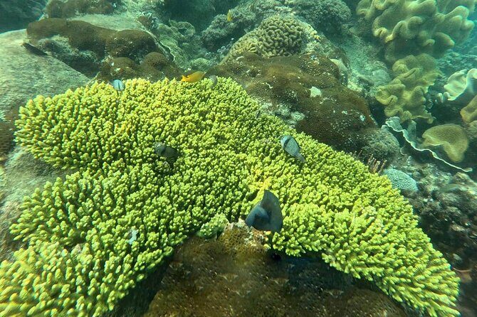 Snorkeling tour to South of Phu Quoc Island & BBQ ( Max 10 PAX ) - Authenticity and Personalized Service