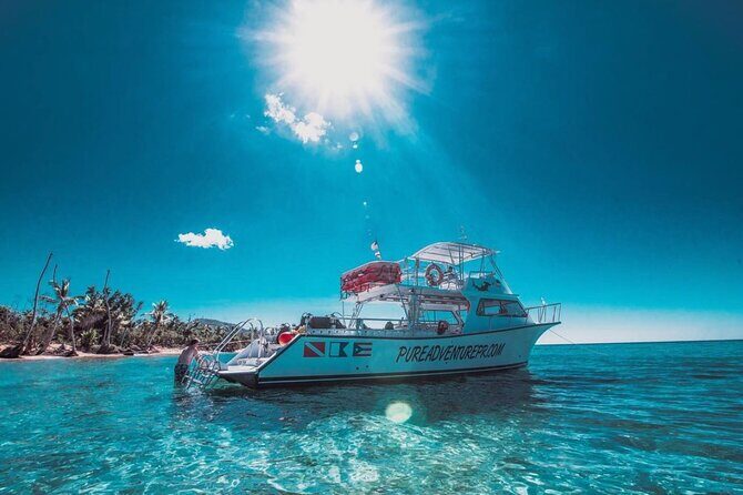 Snorkeling Tour to Vieques Island only 30 minutes away! - The Itinerary: What to Expect on Your Day