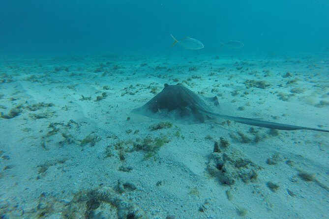 Snorkeling Tour (with Light Refreshments) - Who Would Enjoy This?
