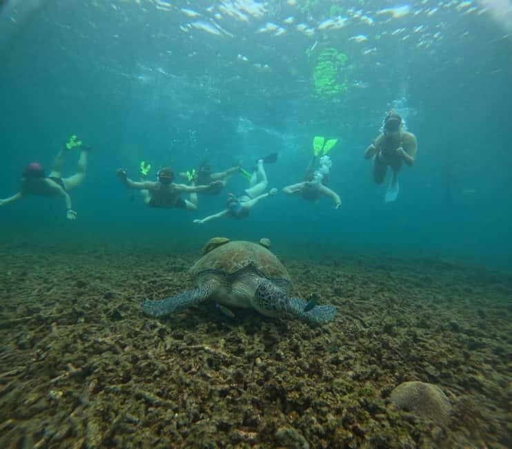 Snorkeling Tour with meals and BBQs - Cocktail - Sunset - Who Will Love This Tour?