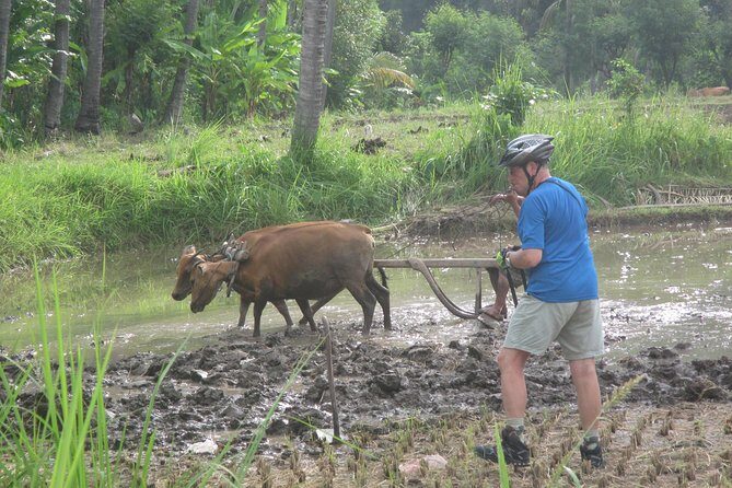 Snorkeling & Trekking at West Bali National Park - The Sum Up