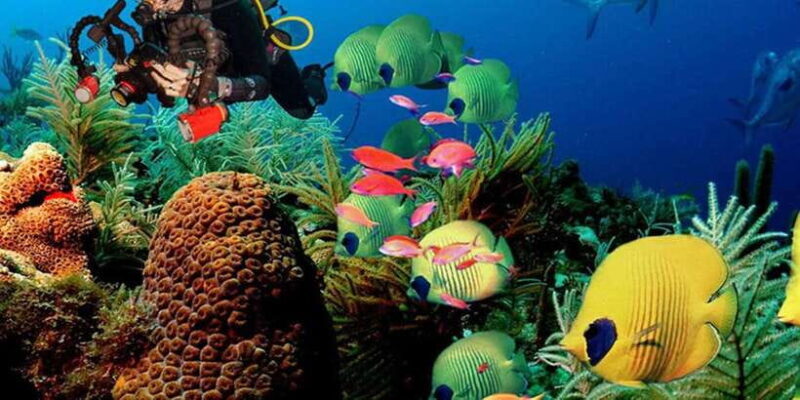 Snorkeling Trip from Polhena Beach, Matara, Sri Lanka - An Introduction to the Snorkeling Trip