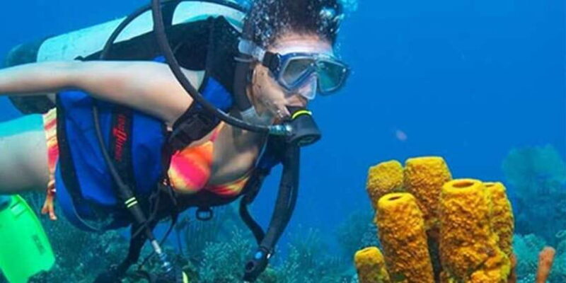 Snorkeling Trip from Polhena Beach, Matara, Sri Lanka - What You Can Expect During the Tour