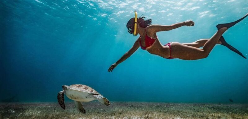 Snorkeling Trip from Polhena Beach, Matara, Sri Lanka - Analyzing the Value and Cost