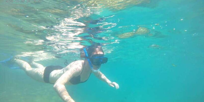 Snorkeling Trip from Polhena Beach, Matara, Sri Lanka - Who This Tour Is Best For