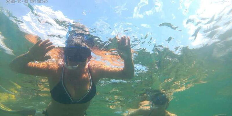 Snorkeling Trip from Polhena Beach, Matara, Sri Lanka - The Sum Up