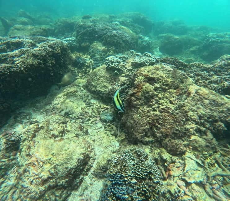 Snorkeling Trip To Angel Rock - An In-Depth Look at the Snorkeling Adventure