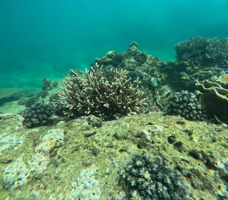 Snorkeling Trip To Angel Rock - Who Should Consider This Trip?