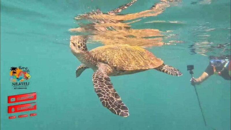 Snorkeling Trip To Pigeon Island - An Honest Breakdown of the Itinerary