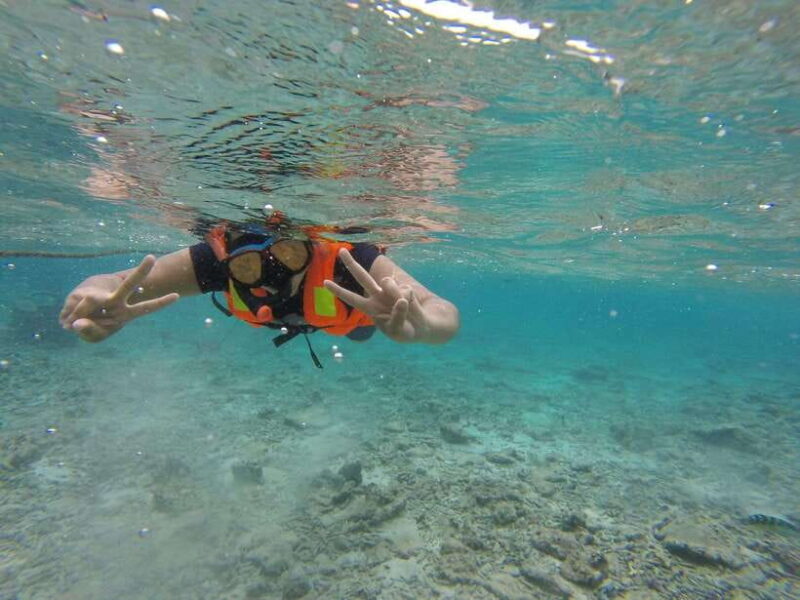 Snorkeling Trip To Pigeon Island - How the Experience Unfolds