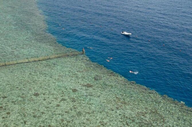 Snorkeling Trip to Tiran Island By Boat and Lunch Sharm El-Sheikh - What to Expect from the Itinerary