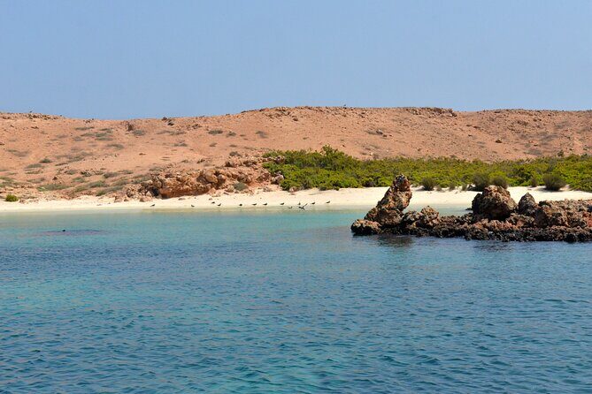 Snorkeling trips to Daymaniat Islands Sharing Trip - An In-Depth Look at the Daymaniyat Islands Snorkeling Experience