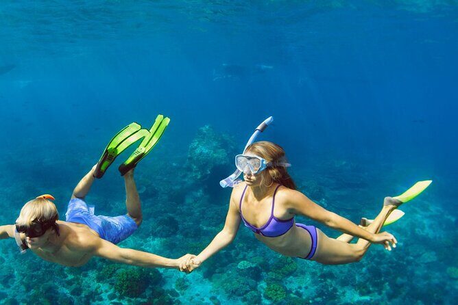 Snorkeling trips to Daymaniat Islands Sharing Trip - Who Will Love This Tour?