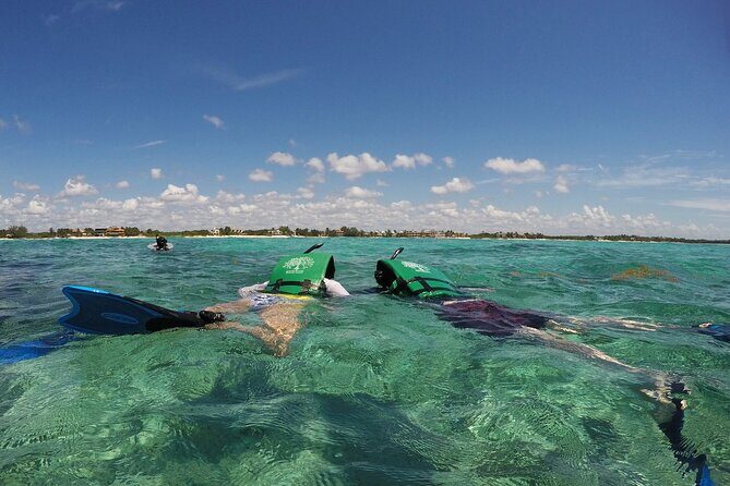 Snorkeling with Caribbean fish and private cenote exploration - The Fine Print: What’s Included and What’s Not