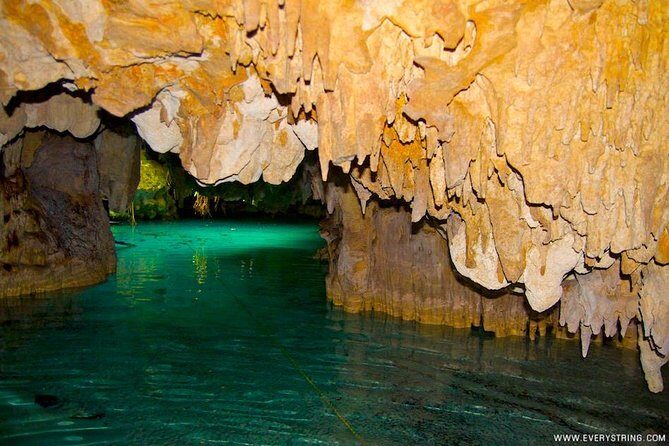 Snorkeling with Caribbean fish and private cenote exploration - Frequently Asked Questions