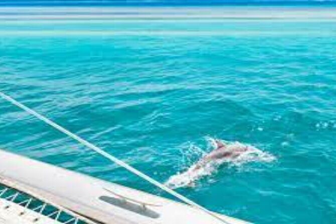 Snorkeling with Dolphins & Lunch In Sataya Reefs From Marsa Alam - Key Points
